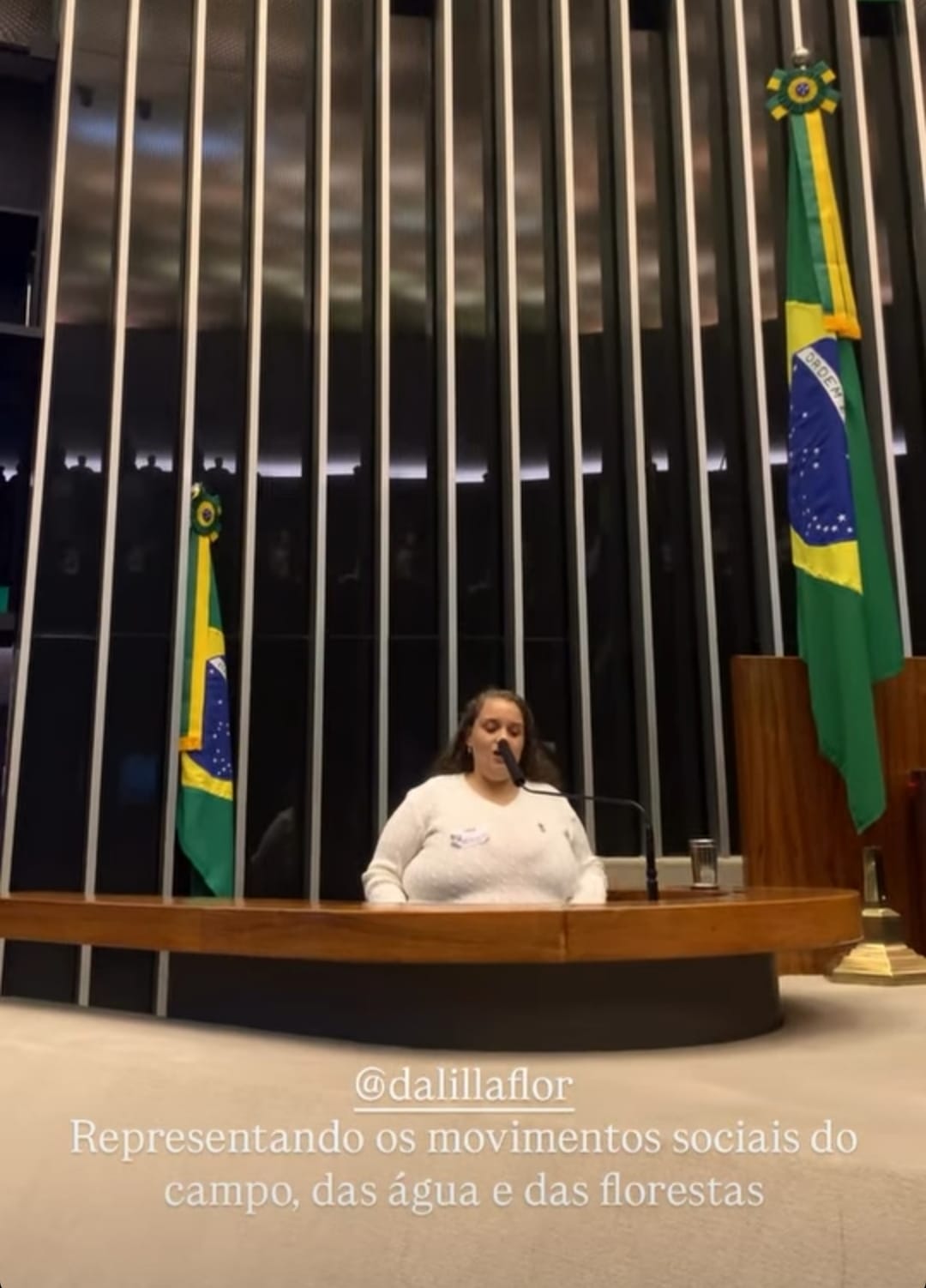 ​AGRICULTORA FAMILIAR DE LEOPOLDO DE BULHÕES PARTICIPOU DE SESSÃO SOLENE DA CÂMARA DE DEPUTADOS